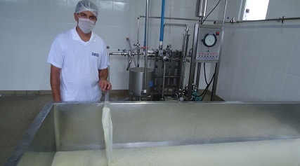 Pasteurização do leite