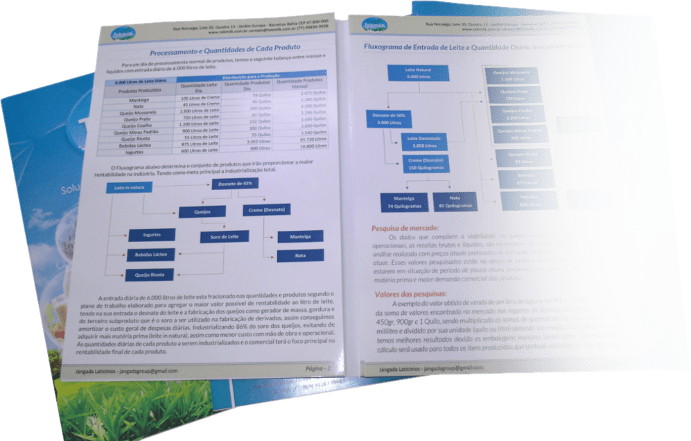 Viabilidade econômica e financeira para laticínios.