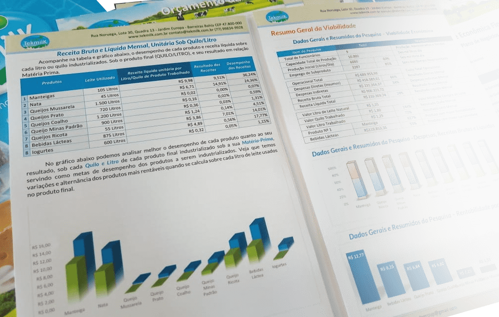 Viabilidade econômica e financeira para laticínios.