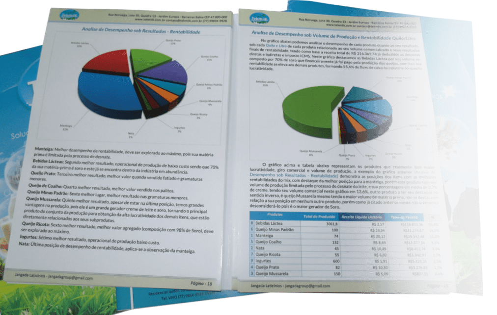 Viabilidade econômica e financeira para laticínios.