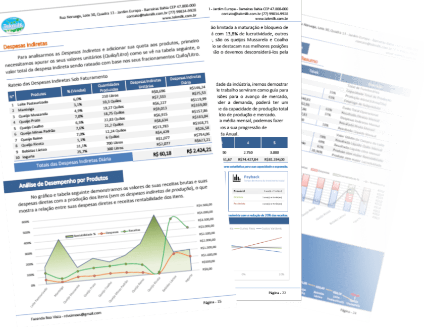 Viabilidade econômica e financeira para laticínios.